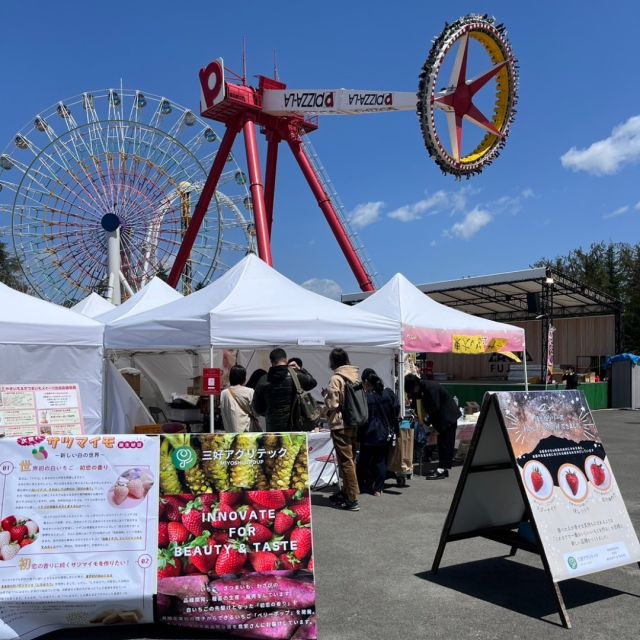 本日より、富士急ハイランドにて、
おいもにZOKKON!!フェスティバルに出展しています🍠

さつまいもの新品種の紹介をしています！4/21までの開催期間、さつまいもだけでなく、いちごの品種紹介も行っております😊✨
ぜひ遊びに来てください♪

#さつまいも博 #日本さつまいもサミット
#ファーマーズオブザイヤー #さつまいもオブザイヤー
#サツマイモ #さつまいもスイーツ
#全国やきいもグランプリ#さつまいも好きと繋がりたい
#焼き芋好きと繋がりたい #さつまいも愛がとまらない
#富士急ハイランド #fujiqhighland
#おいもにzokkonフェスティバル
#おいもにzokkon #zokkon
#いちご #ほしうらら #スターナイト #星の煌めき#ベリーポップ